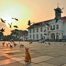 Jakarta Historic Tour Sunda Kelapa and Fatahillah Square